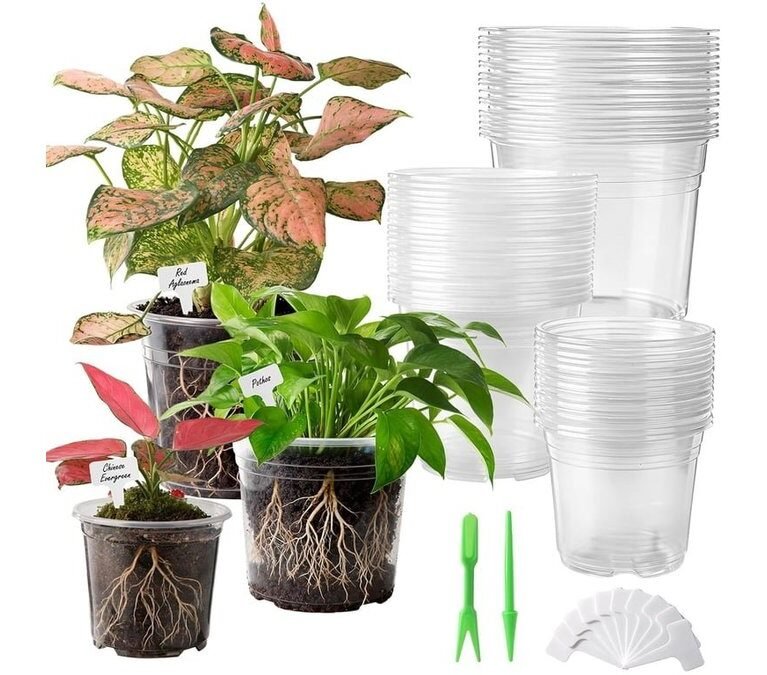 best self watering tools for plants