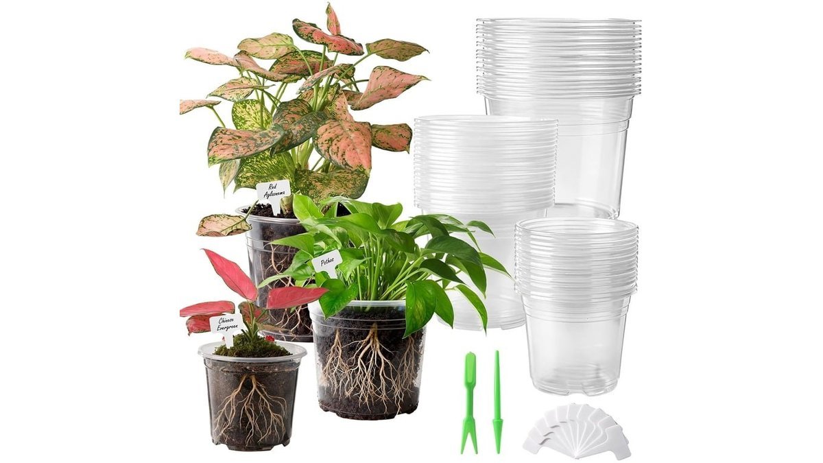 best self watering tools for plants