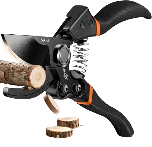 Pruning Shears