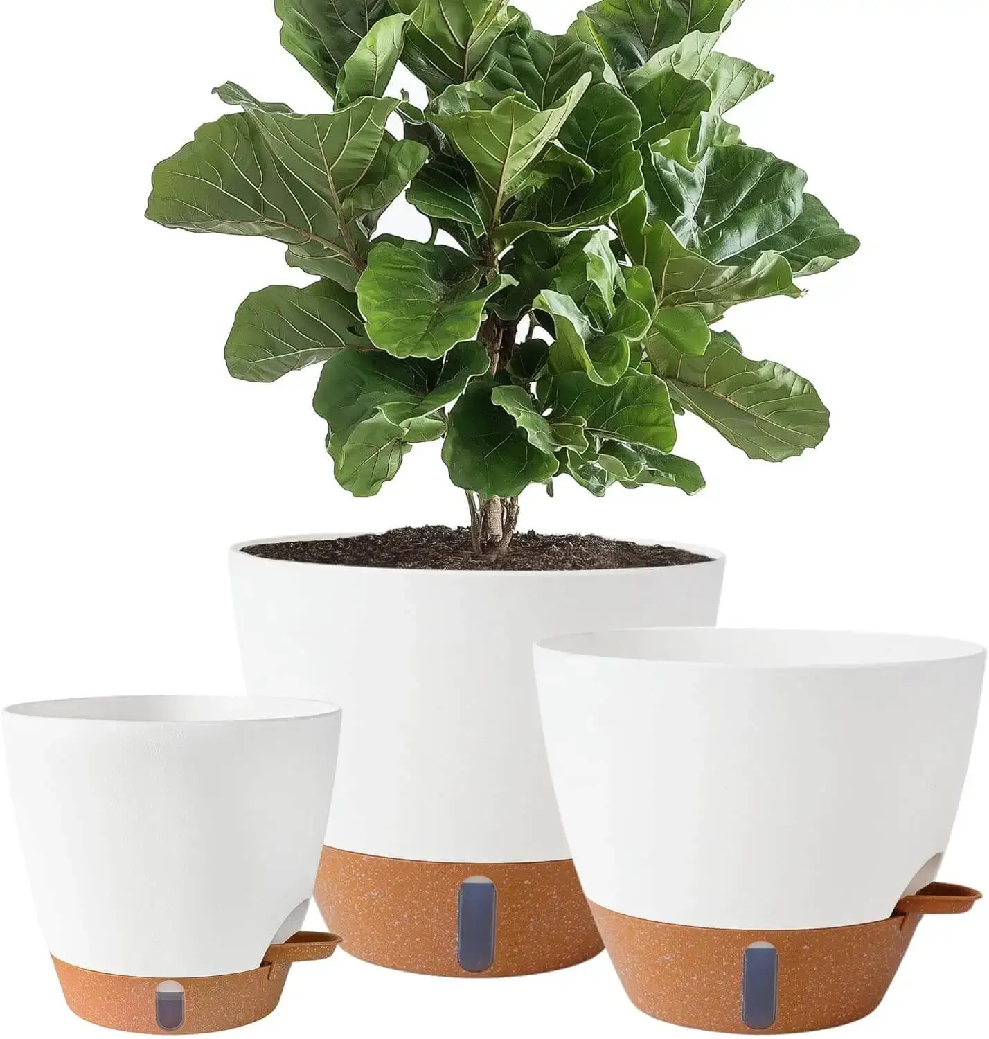 Self-Watering Container Planter