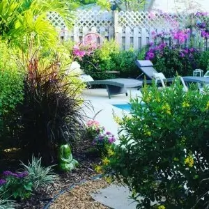 Small-Space Gardening