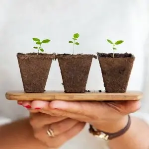Soil & Plant Care
