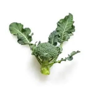 Vegetables