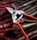ergonomic pruners for small hands