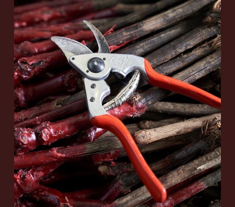 ergonomic pruners for small hands
