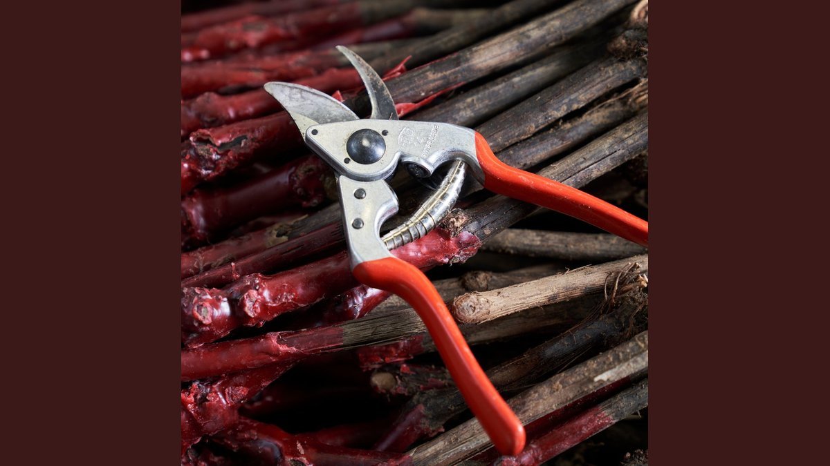 ergonomic pruners for small hands