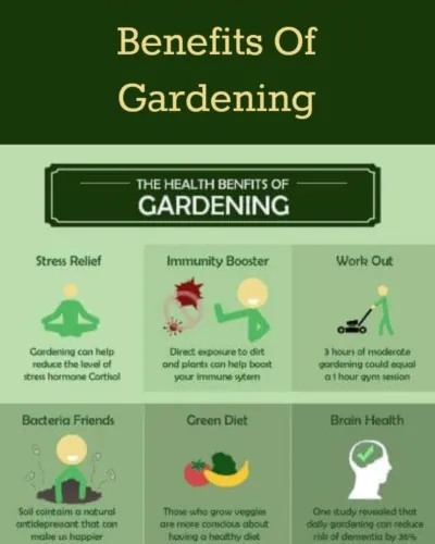 Container gardening on apartment balcony with herbs and tomatoes