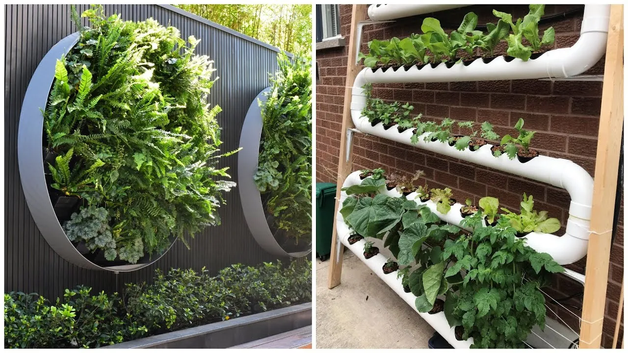 Drip irrigation tubing delivering water to dark soil in a vertical garden.