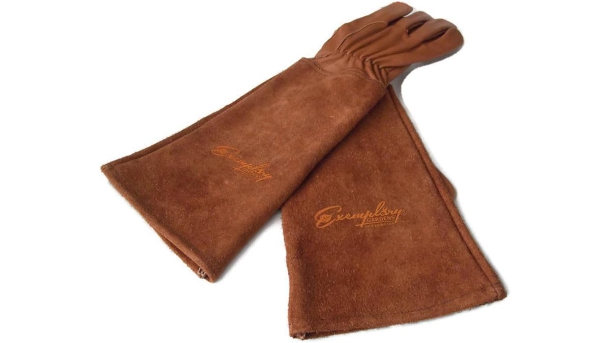 Durable rose pruning gloves resting on a wooden bench in a blooming garden.