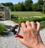 Best Pruners for Arthritic Hands