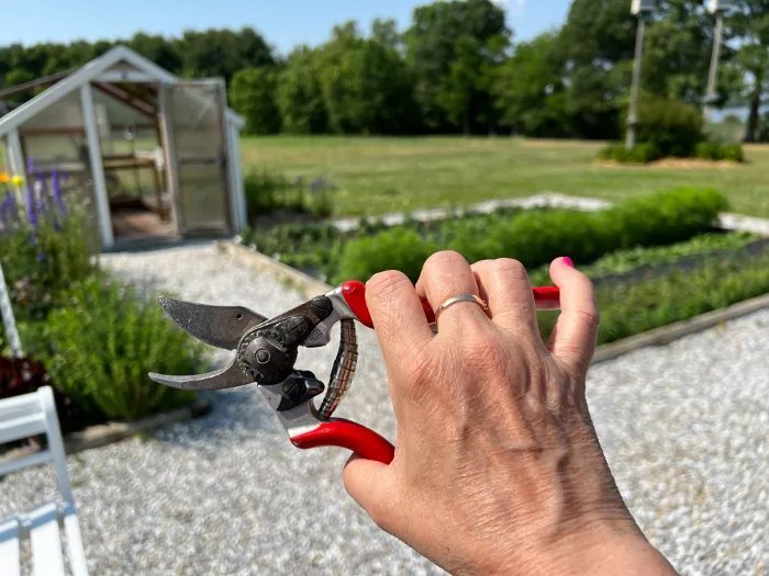 Best Pruners for Arthritic Hands