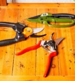 Ergonomic garden shears resting on a wooden potting bench near fresh cut stems.