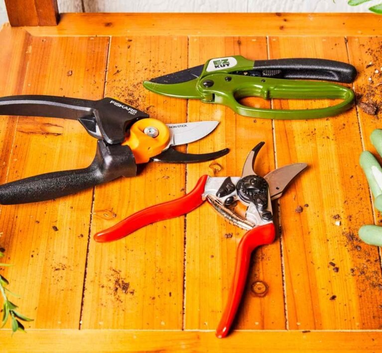Best Ergonomic Garden Shears