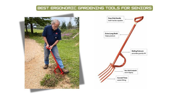 Best Ergonomic Gardening Tools for Seniors