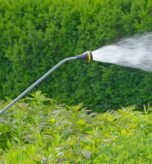 best watering wand for seniors