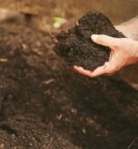how can poor soil be improved