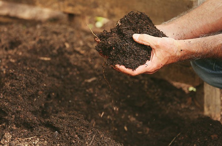how can poor soil be improved