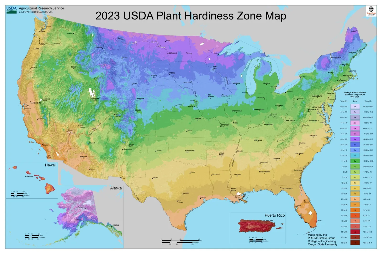 Gardener examining plant label and USDA Gardening Zones guide in a lush garden