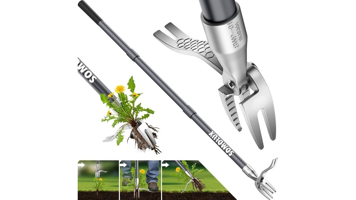 Gardener standing upright using long-handled weeding tool in lush vegetable garden
