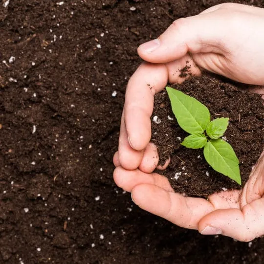 Hands hold a glass jar of layered soil above a waterlogged garden bed.