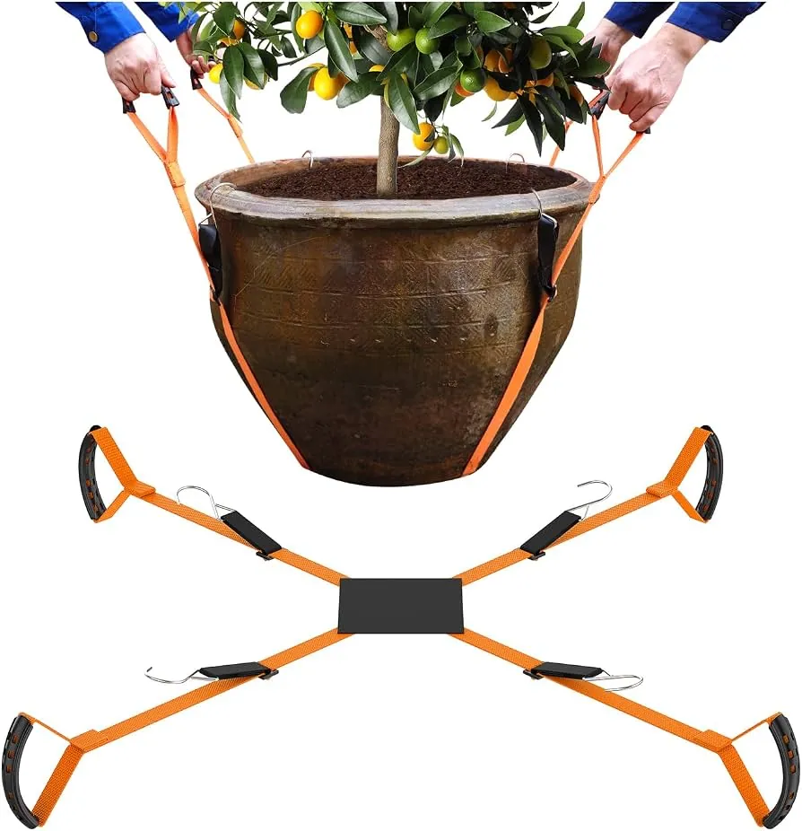 A heavy potted plant resting on a narrow second-story balcony.