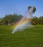 what are common lawn watering mistakes