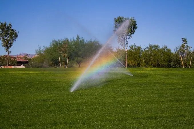 what are common lawn watering mistakes