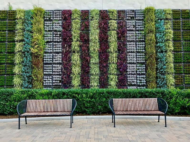 How to Set Up Vertical Garden
