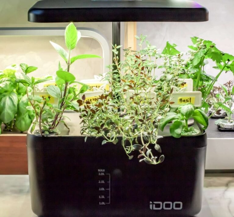 tabletop herb garden