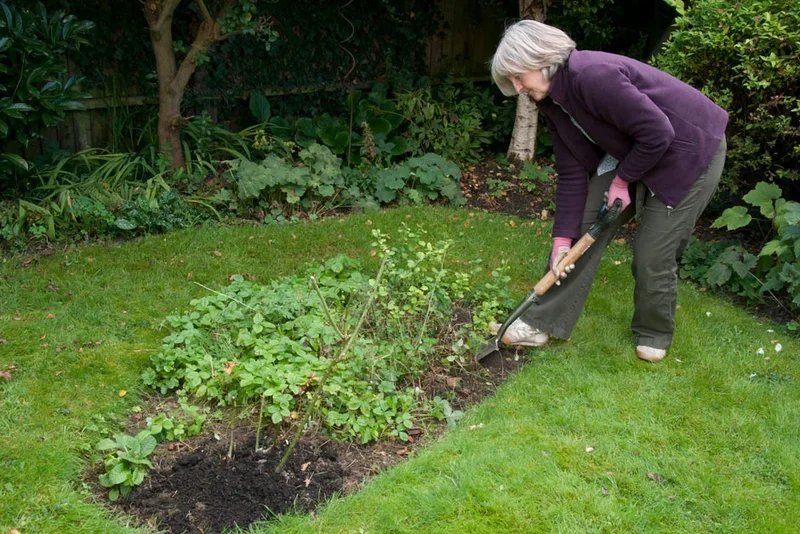 Does Weeding Count as Exercise?