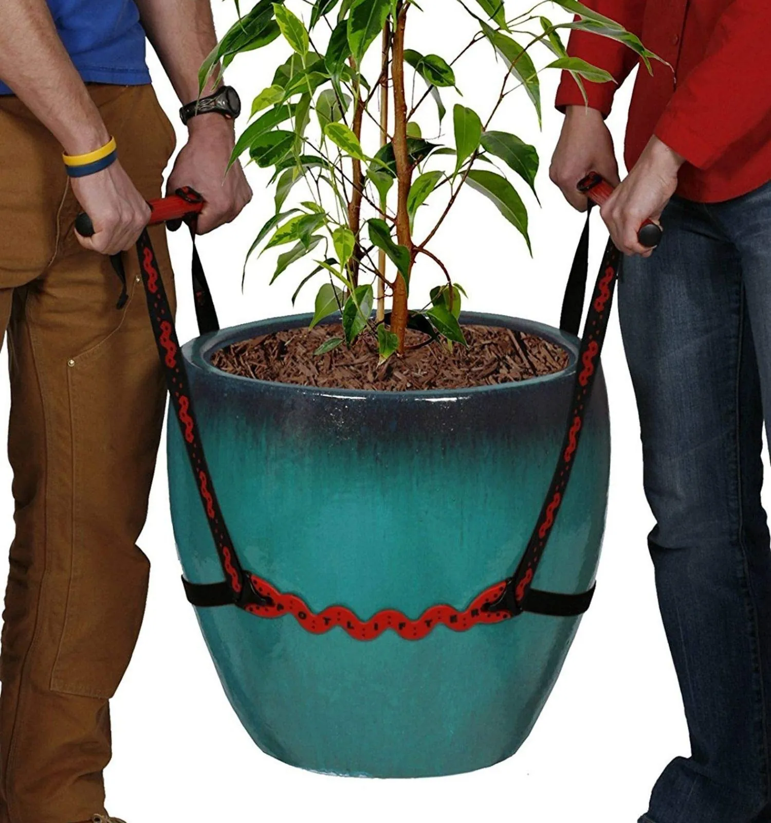 A person standing next to a heavy potted plant blocking a doorway.