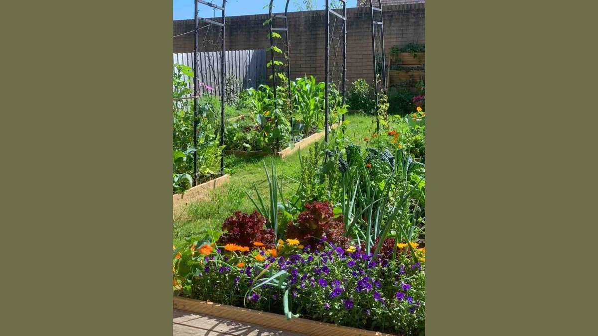 How to Start an Easy Vegetable Garden