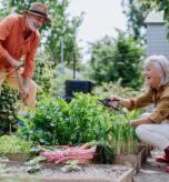 Health Benefits of Gardening for Seniors