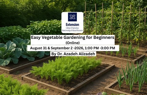 easy gardening for seniors beginners