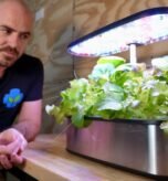 hydroponic tabletop garden
