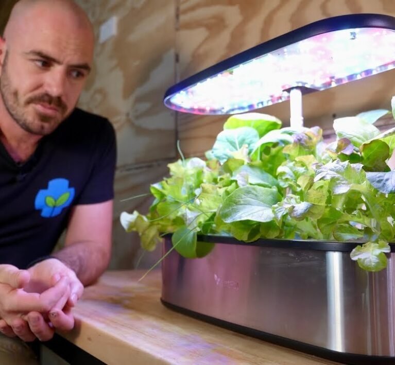 hydroponic tabletop garden