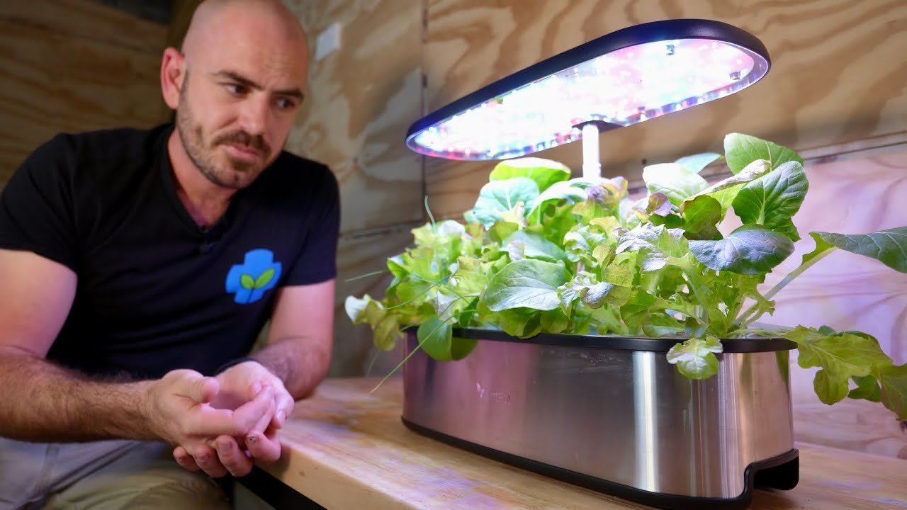 hydroponic tabletop garden