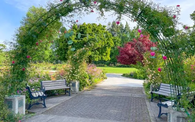 Smooth interlocking paver garden path providing an accessible route through landscaping.