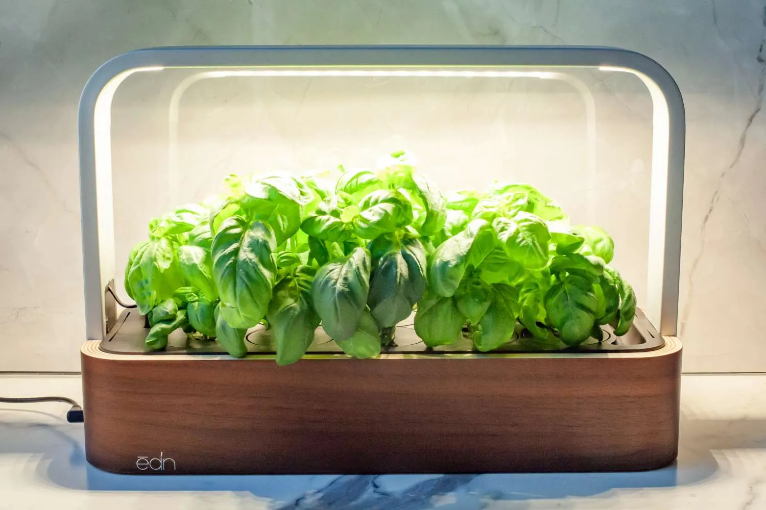 Terracotta herb pots with drainage holes on sunny windowsill