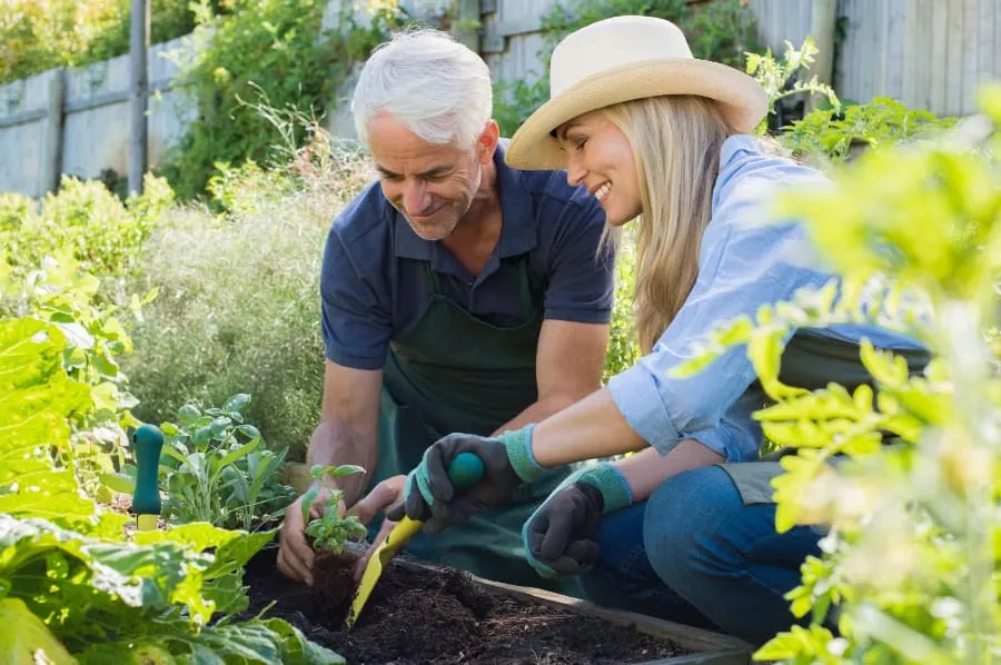 Three garden types showing accessibility options for older adults