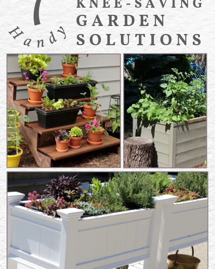 Three people exploring a backyard garden while planning knee-safe gardening setups.