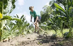 Three people standing together in a garden holding small hand trowels.