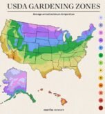 USDA Gardening Zones