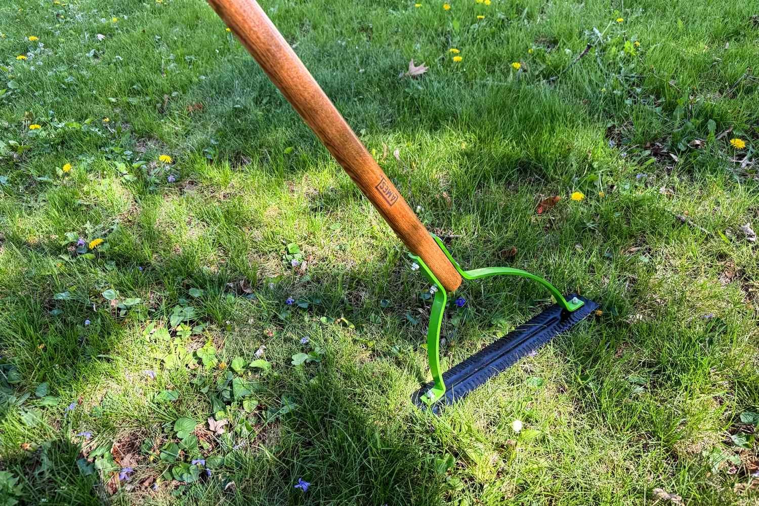 Best Weeding Tools for Flower Beds and Lawns