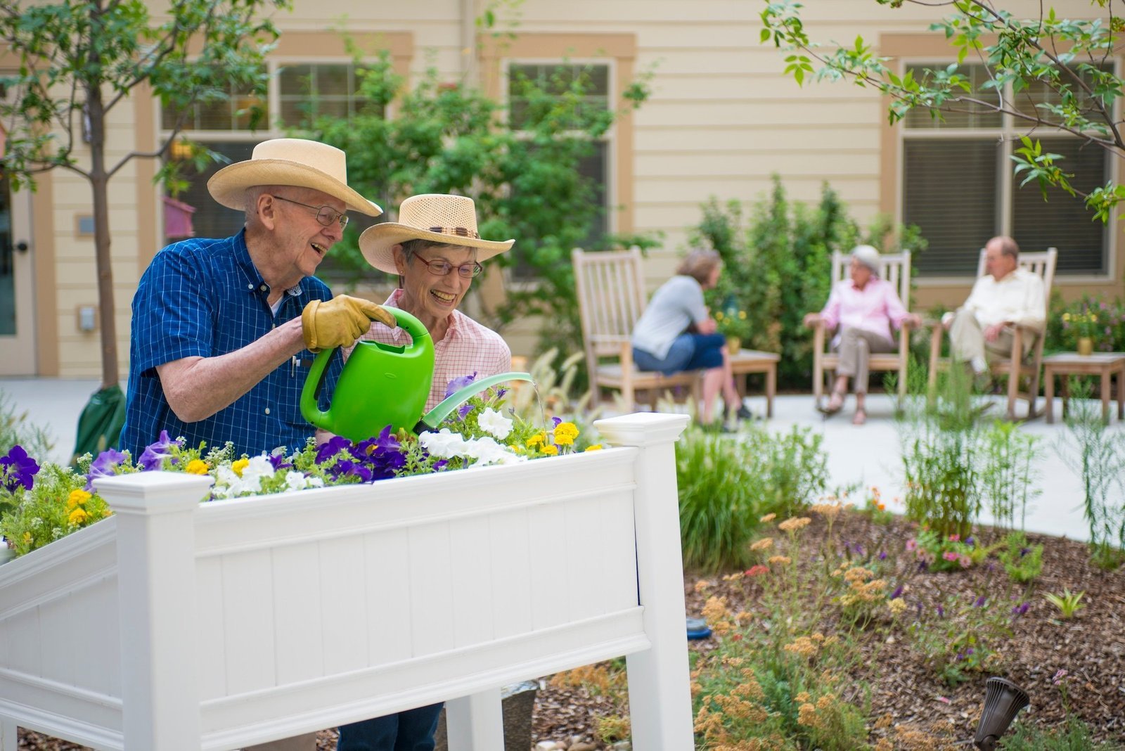 raised garden beds for seniors