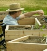 Best Raised Garden Beds for Wheelchair Accessibility