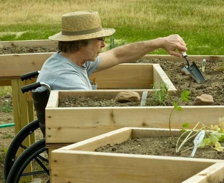 Best Raised Garden Beds for Wheelchair Accessibility