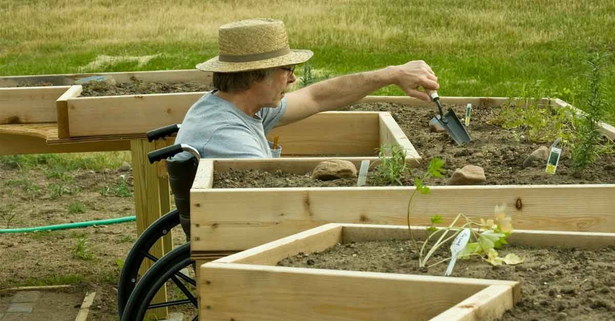 Best Raised Garden Beds for Wheelchair Accessibility