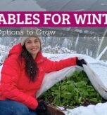 best vegetables for winter
