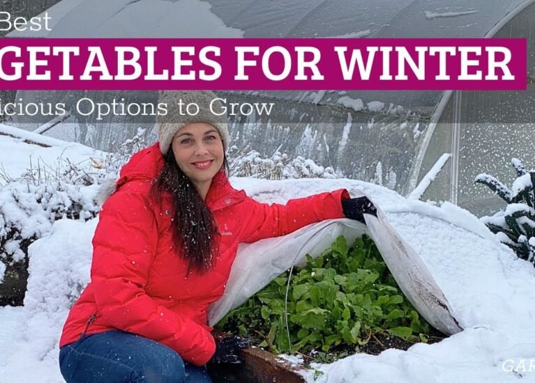 best vegetables for winter